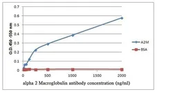 Anti-alpha 2 Macroglobulin antibody [F1-P1C11 #3] used in ELISA (ELISA). GTX15643