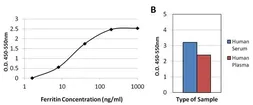 Anti-Ferritin antibody [321B7] used in ELISA (ELISA). GTX15743