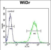 Anti-CHCHD2 antibody used in Flow cytometry (FCM). GTX17498