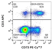 Anti-CD73 antibody [AD2] (PE-Cy7) used in Flow cytometry (FCM). GTX17626-10