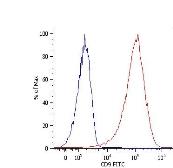 Anti-CD9 antibody [MEM-61] (FITC) used in Flow cytometry (FCM). GTX18241