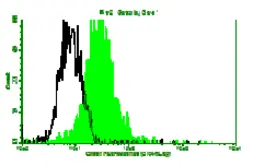 Anti-l-Myc antibody [CHALU2] used in Flow cytometry (FCM). GTX18704