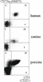 Anti-CD21 antibody [LT21] used in Flow cytometry (FCM). GTX21090