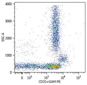 Anti-CD31 antibody [MEM-05] used in Flow cytometry (FCM). GTX22210