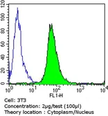 Anti-Glucocorticoid Receptor antibody [BuGR2] used in Flow cytometry (FCM). GTX22768