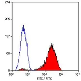 Anti-CD11a antibody [38] used in Flow cytometry (FCM). GTX26132