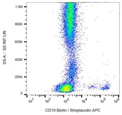 Anti-CD19 antibody [LT19] (Biotin) used in Flow cytometry (FCM). GTX28331-02