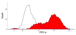 Anti-CD52 antibody [11/305/44] used in Flow cytometry (FCM). GTX31221