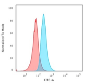 Anti-CD34 antibody [HPCA1/1806R] used in Flow cytometry (FCM). GTX34502