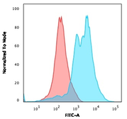 Anti-ZAP70 antibody [2F3.2] used in Flow cytometry (FCM). GTX35177