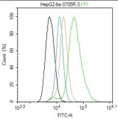 Anti-LDL Receptor antibody used in Flow cytometry (FCM). GTX37639