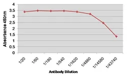 Anti-Factor VIII antibody [RFF-VIIIC/5] used in ELISA (ELISA). GTX41182