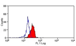 Anti-Dectin-1 antibody [GE2] (Low endotoxin, azide free) used in Flow cytometry (FCM). GTX41459