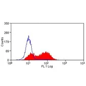 Anti-CD83 antibody [3D11] used in Flow cytometry (FCM). GTX41792