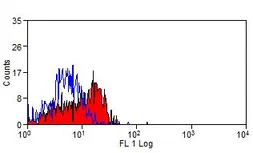 Anti-CD62P antibody [Psel.KO.2.7] used in Flow cytometry (FCM). GTX41880