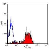 Anti-CD52 antibody [YTH34.5] used in Flow cytometry (FCM). GTX41921