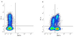 Anti-CD3 epsilon antibody [CD3-12] used in Flow cytometry (FCM). GTX42110