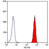 Anti-CD16 antibody [G7] (PE) used in Flow cytometry (FCM). GTX42935