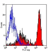 Anti-Ly-6B.2 antibody [7/4] (PE) used in Flow cytometry (FCM). GTX42958