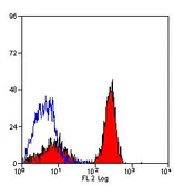 Anti-Dectin-1 antibody [2A11] (PE) used in Flow cytometry (FCM). GTX42985