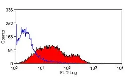 Anti-CD86 antibody [24F] (PE) used in Flow cytometry (FCM). GTX43009