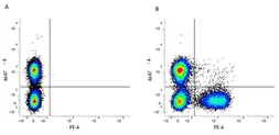 Anti-CD3 antibody [KT3] (PE) used in Flow cytometry (FCM). GTX43115