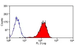 Anti-ABCA1 antibody [5A1-1422] (PE) used in Flow cytometry (FCM). GTX43231