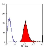 Anti-MHC Class I RT1Ac antibody [OX-27] (FITC) used in Flow cytometry (FCM). GTX43397
