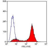 Anti-CD45 antibody [OX-1] (FITC) used in Flow cytometry (FCM). GTX43587
