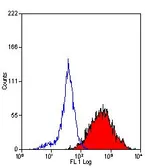 Anti-DC-SIGN antibody [MR-1] (FITC) used in Flow cytometry (FCM). GTX43681