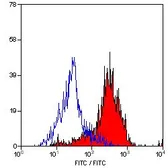 Anti-MSR1 antibody [2F8] (FITC) used in Flow cytometry (FCM). GTX43691