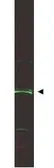Anti-ING5 antibody used in Western Blot (WB). GTX48484