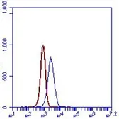 Anti-TNF Receptor II antibody [MR2-1] used in Flow cytometry (FCM). GTX54417