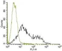 Anti-Kv11.1 antibody used in Flow cytometry (FCM). GTX54789