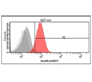 Anti-MTH1 antibody [AT3B3] used in Flow cytometry (FCM). GTX57631