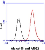 Anti-ARG2 antibody [AT7F8] used in Flow cytometry (FCM). GTX57645