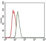Anti-Nkx2.2 antibody [3E4] used in Flow cytometry (FCM). GTX60598