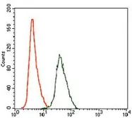 Anti-Rho GDI alpha antibody [2G3] used in Flow cytometry (FCM). GTX60618