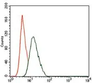 Anti-PI3 kinase p85 alpha antibody [8C11] used in Flow cytometry (FCM). GTX60634