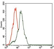 Anti-Somatostatin antibody [7G5] used in Flow cytometry (FCM). GTX60646
