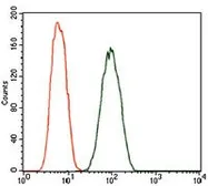 Anti-DCTN4 antibody [3G9D7] used in Flow cytometry (FCM). GTX60723
