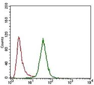 Anti-CD24 antibody [4F4E10] used in Flow cytometry (FCM). GTX60789