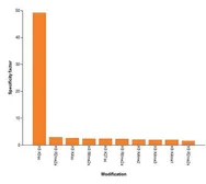 Anti-Histone H3K9K14ac (Acetyl Lys9/Lys14) antibody - ChIP grade used in Protein Array (Protein Array). GTX60822