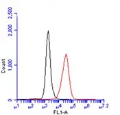 Anti-CD45 antibody [GT0005] used in Flow cytometry (FCM). GTX628417