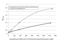 Anti-SARS-CoV-2 (COVID-19) Spike RBD antibody [HL1014] used in ELISA (ELISA). GTX635807