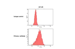 Anti-NPFF1 receptor antibody [HL4674] used in Flow cytometry (FCM). GTX644547