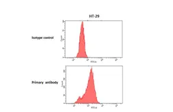 Anti-NMUR2 antibody [HL4810] used in Flow cytometry (FCM). GTX644822