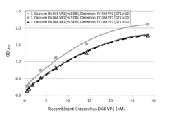 Anti-Enterovirus D68 VP1 antibody [HL5433] used in ELISA (ELISA). GTX646075