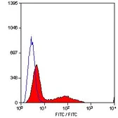 Anti-CD34 antibody [MEC14.7] (FITC) used in Flow cytometry (FCM). GTX75412