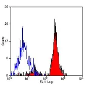 Anti-CD151 antibody [11G5a] used in Flow cytometry (FCM). GTX75456